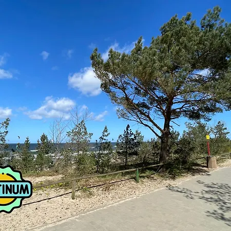 Platinum * 米兹多洛杰