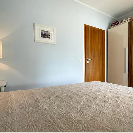 Platinum 米兹多洛杰