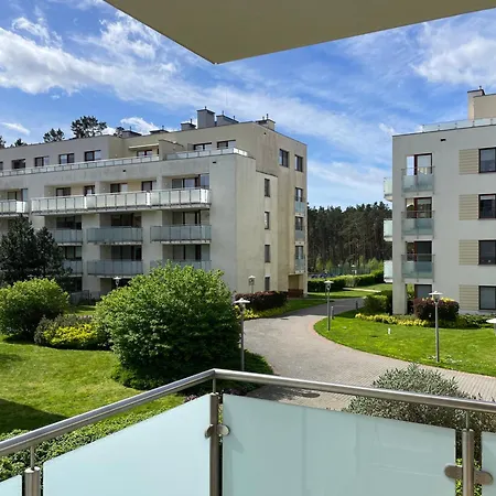 Platinum 米兹多洛杰